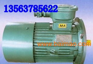 ybb30 4電動機 ybb電機dsb電機ybj電,ybb30 4電動機 ybb電機dsb電機ybj電生產廠家,ybb30 4電動機 ybb電機dsb電機ybj電價格