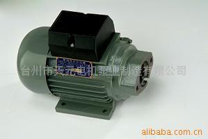 臺(tái)州市天元電機(jī)泵業(yè)制造 專業(yè)電動(dòng)機(jī)制造商